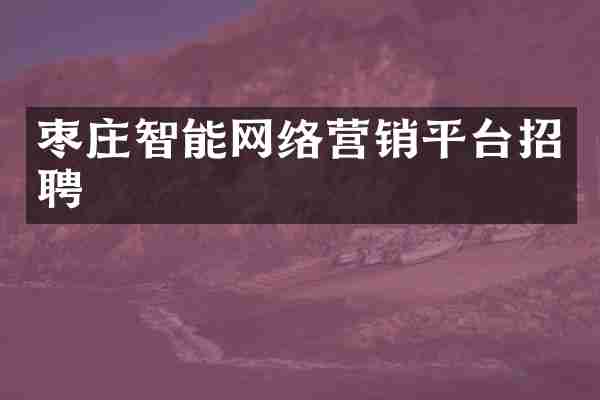 枣庄智能网络营销平台招聘