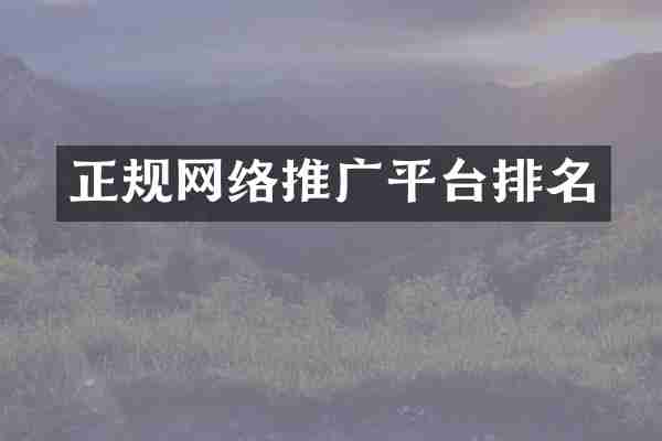 正规网络推广平台排名