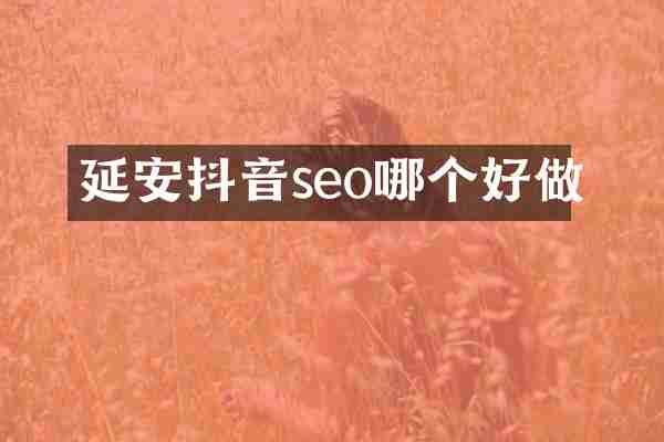 延安抖音seo哪个好做