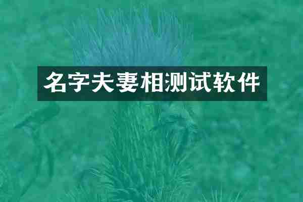 名字夫妻相测试软件