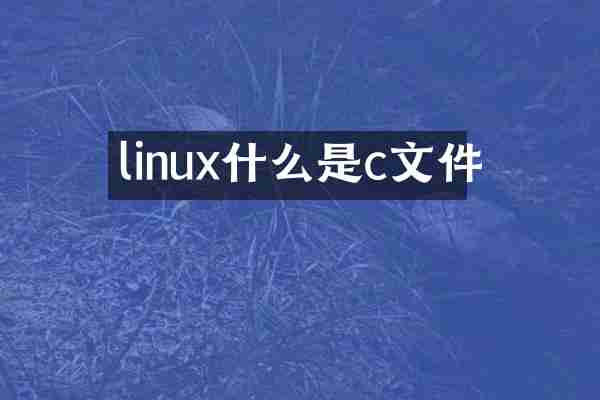 linux什么是c文件