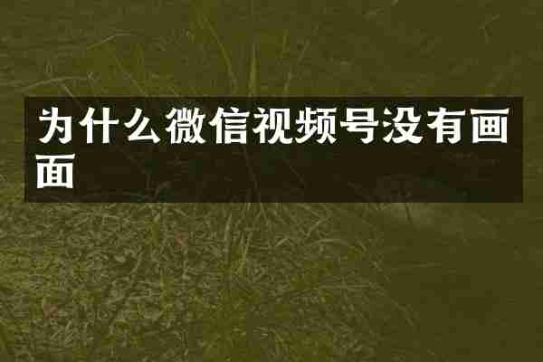 为什么微信视频号没有画面