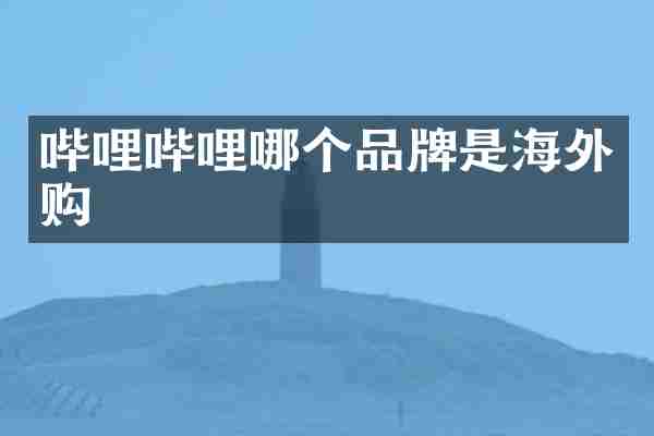 哔哩哔哩哪个品牌是海外购