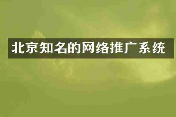 北京知名的网络推广系统