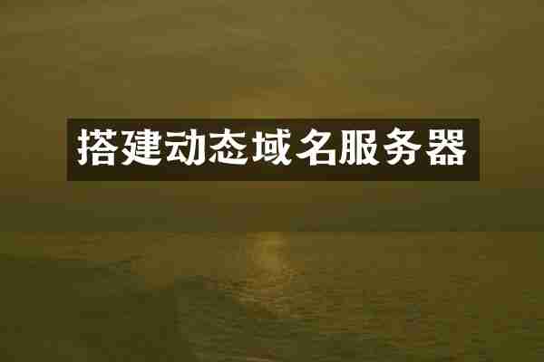 搭建动态域名服务器