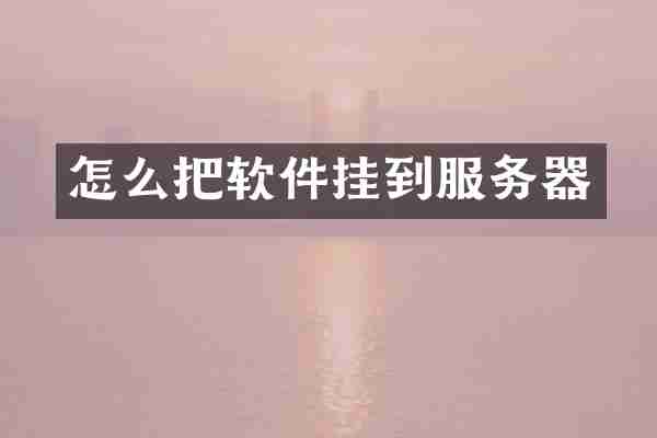 怎么把软件挂到服务器