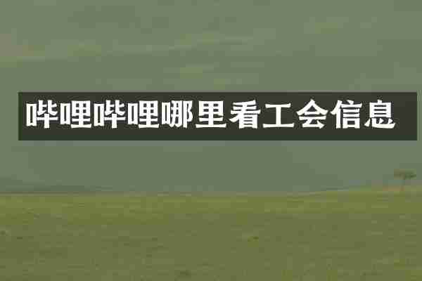 哔哩哔哩哪里看工会信息