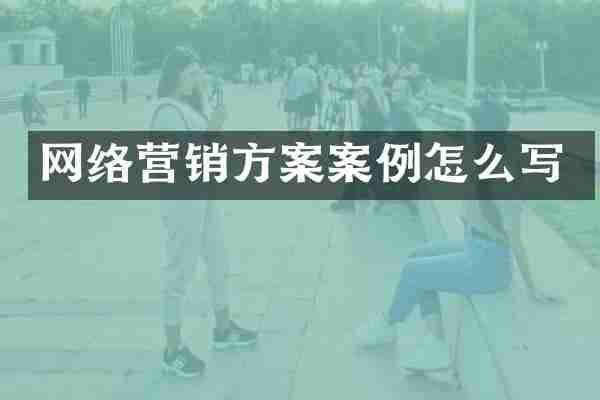网络营销方案案例怎么写