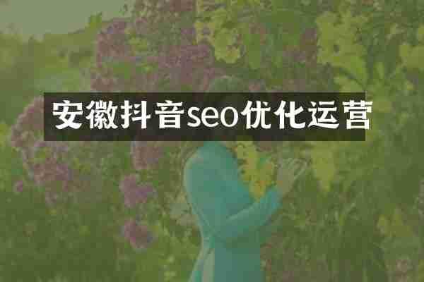 安徽抖音seo优化运营
