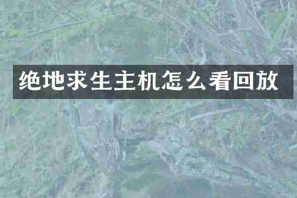 绝地求生主机怎么看回放