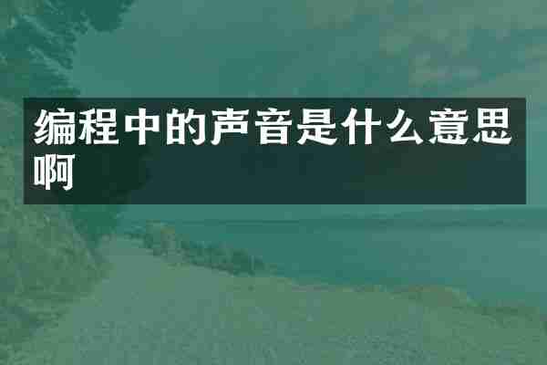 编程中的声音是什么意思啊