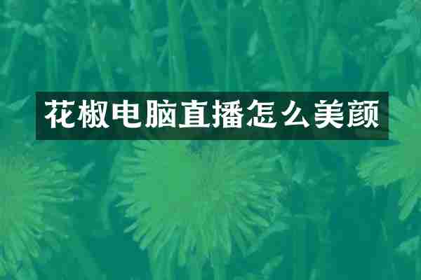 花椒电脑直播怎么美颜