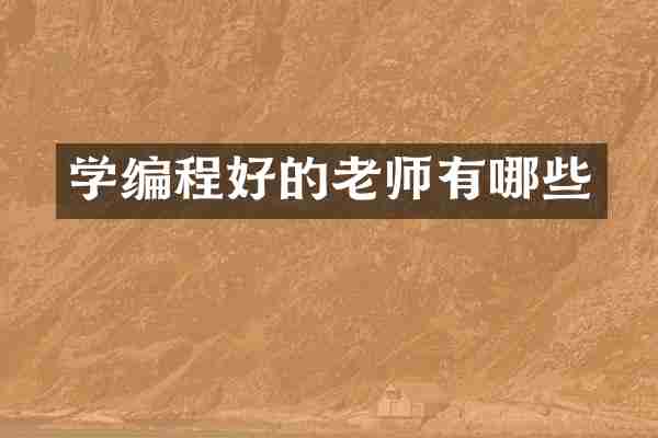 学编程好的老师有哪些