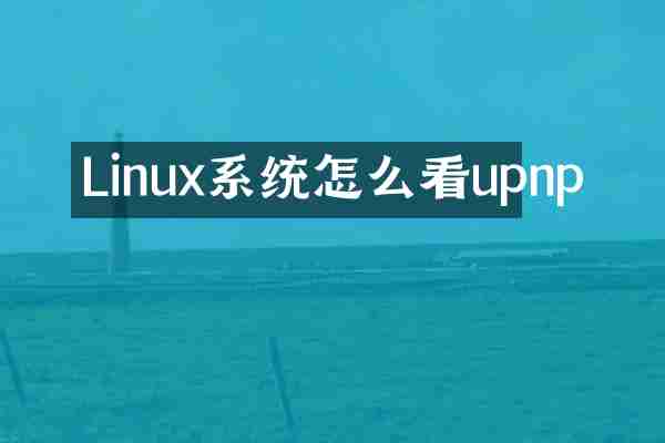 Linux系统怎么看upnp