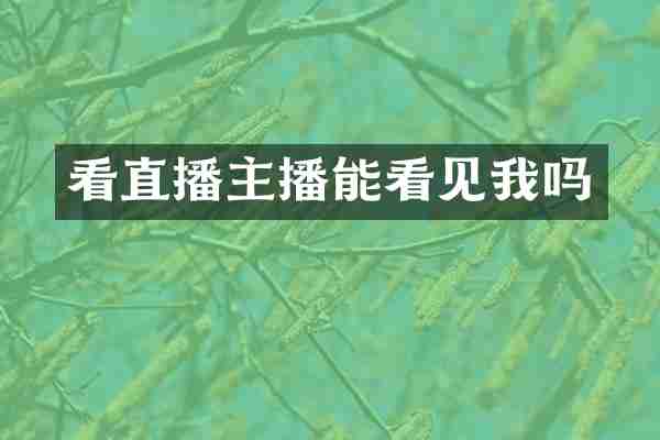 看直播主播能看见我吗