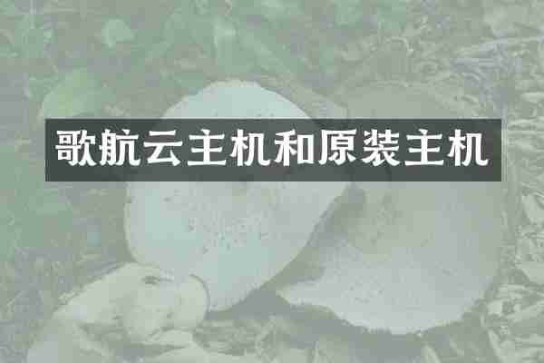 歌航云主机和原装主机