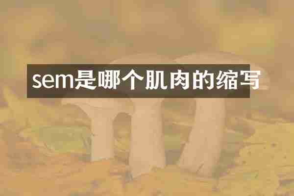 sem是哪个肌肉的缩写