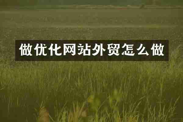 做优化网站外贸怎么做