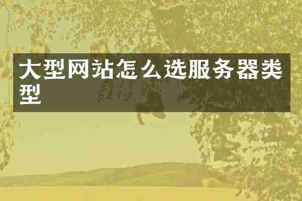 大型网站怎么选服务器类型