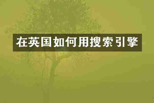 在英国如何用搜索引擎