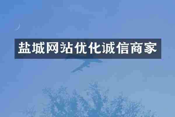 盐城网站优化诚信商家