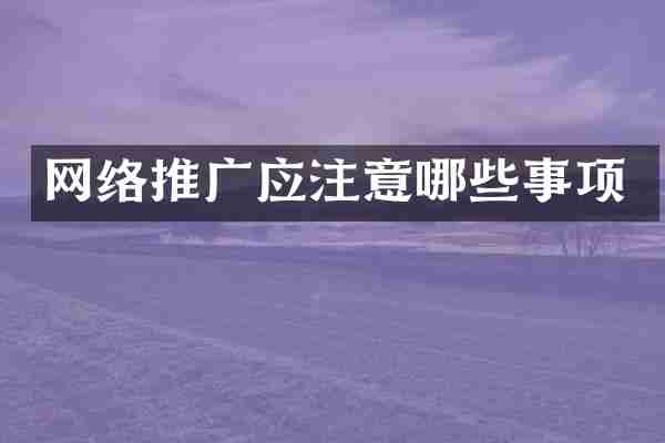 网络推广应注意哪些事项
