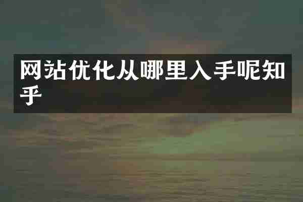 网站优化从哪里入手呢知乎