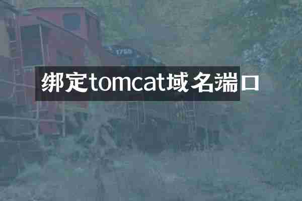 绑定tomcat域名端口