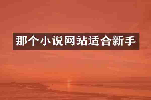 那个小说网站适合新手