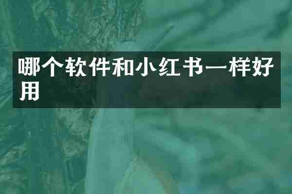 哪个软件和小红书一样好用