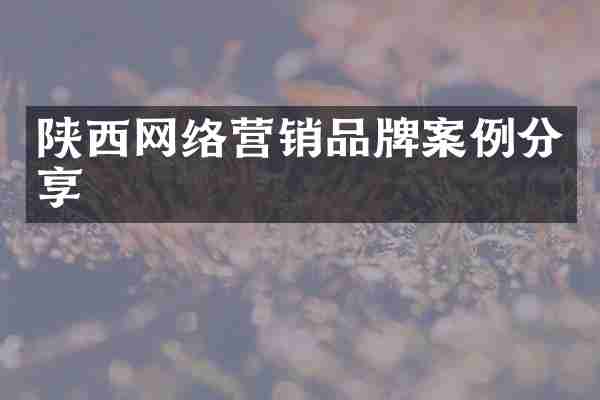 陕西网络营销品牌案例分享