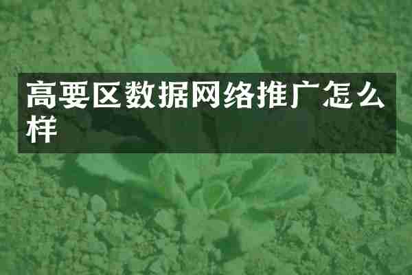 高要区数据网络推广怎么样