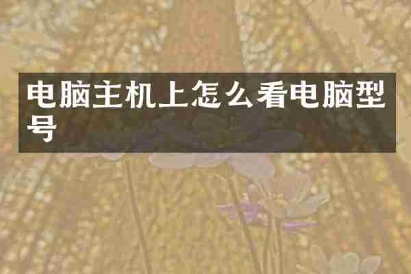 电脑主机上怎么看电脑型号