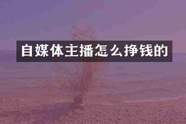 自媒体主播怎么挣钱的