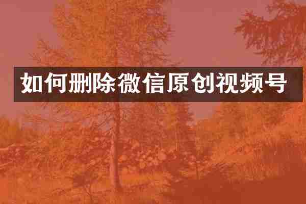 如何删除微信原创视频号