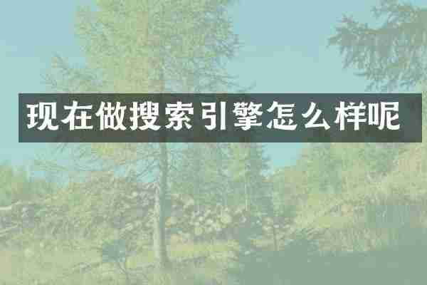现在做搜索引擎怎么样呢