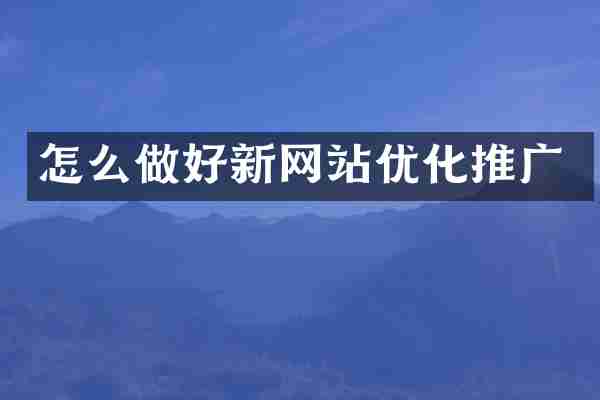 怎么做好新网站优化推广