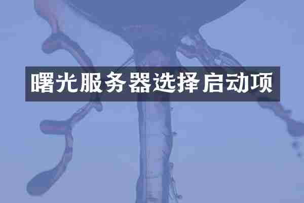 曙光服务器选择启动项