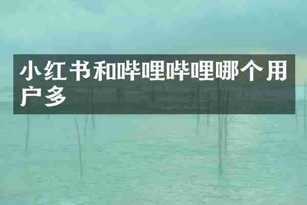 小红书和哔哩哔哩哪个用户多
