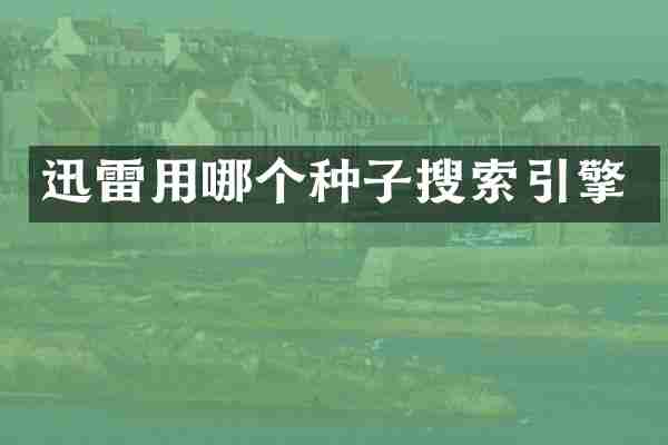 迅雷用哪个种子搜索引擎