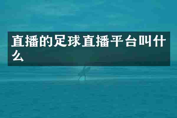直播的足球直播平台叫什么
