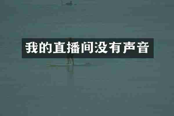 我的直播间没有声音