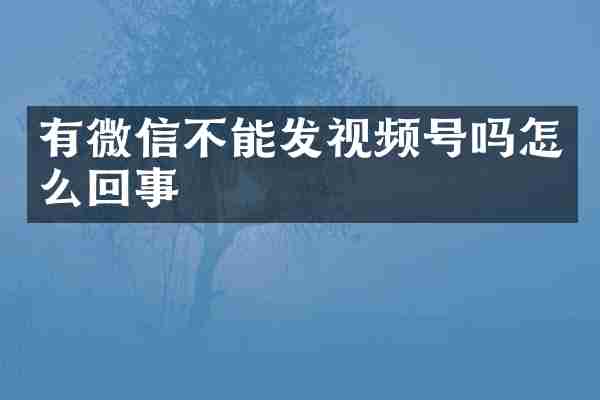 有微信不能发视频号吗怎么回事