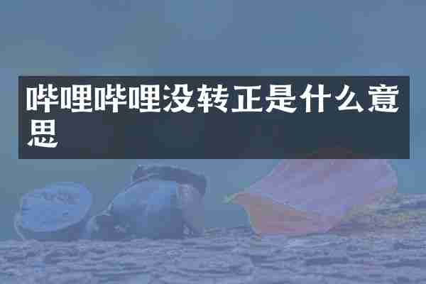 哔哩哔哩没转正是什么意思