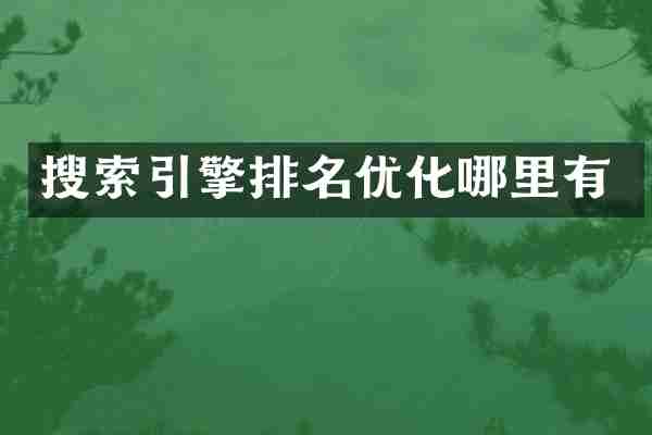 搜索引擎排名优化哪里有