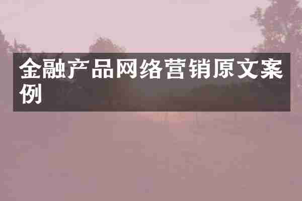 金融产品网络营销原文案例