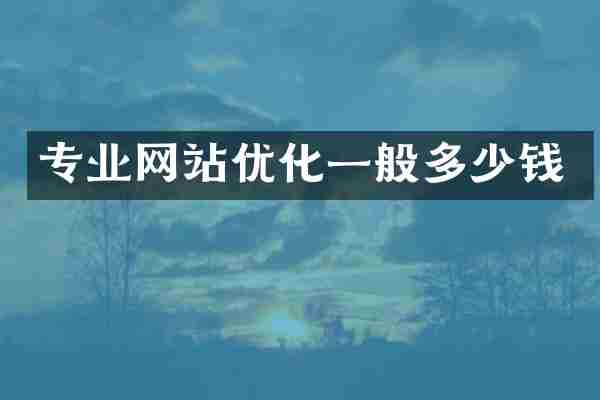 专业网站优化一般多少钱