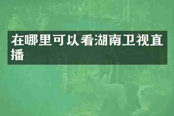 在哪里可以看湖南卫视直播