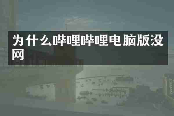 为什么哔哩哔哩电脑版没网