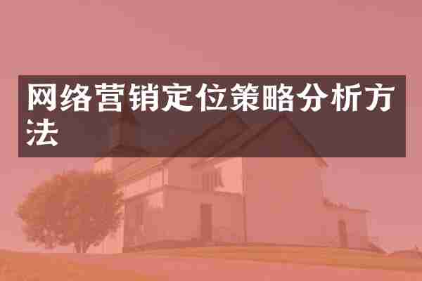 网络营销定位策略分析方法